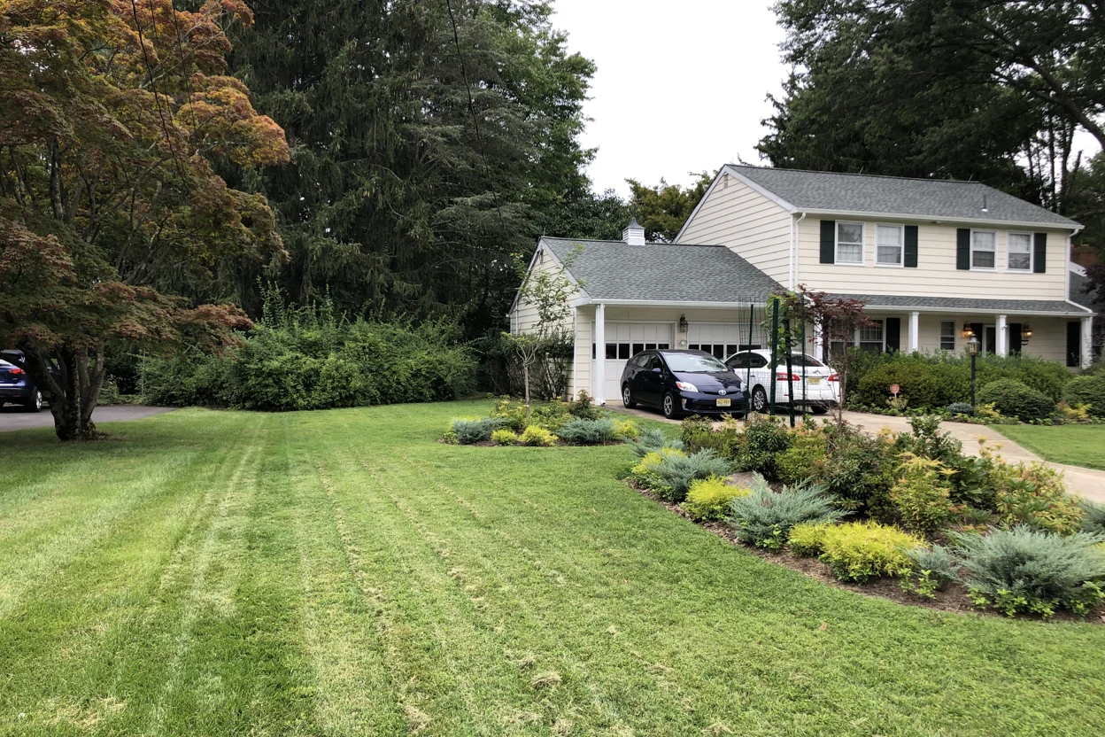 Front lawn with established planting