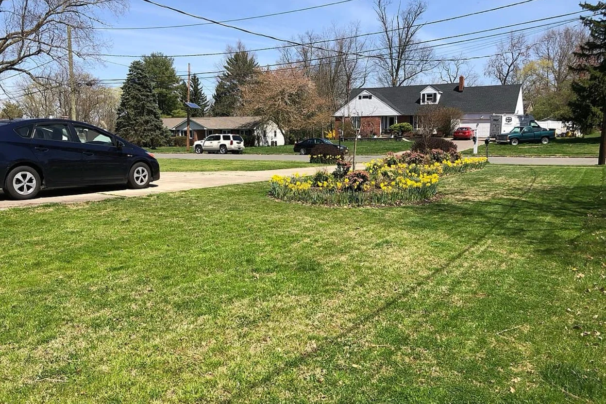Lawn conversion canvas, New Jersey
