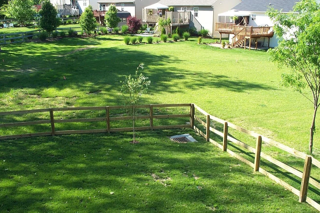 Open suburban backyard, USA